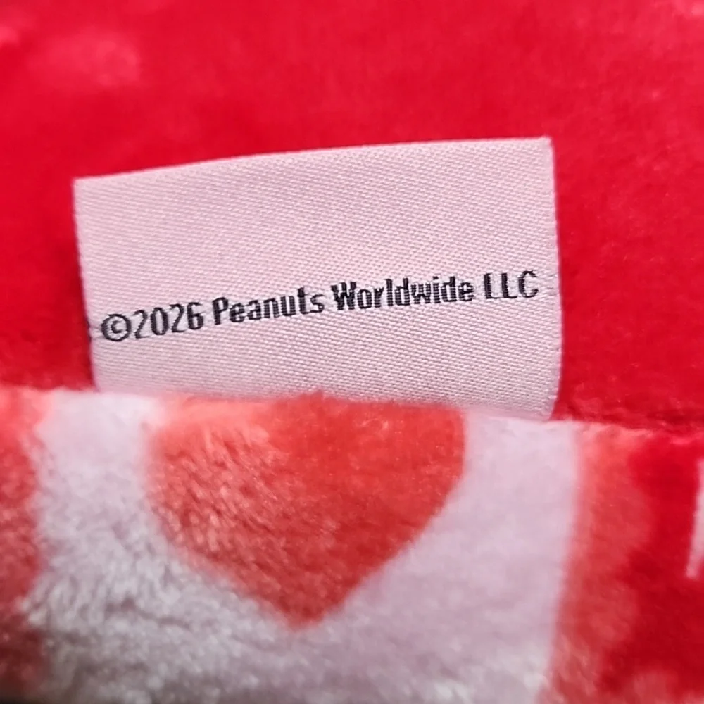 Peanuts Charlie Brown Snoopy Valentine's Day Cat Dog Pet Bed Red & Pink New
